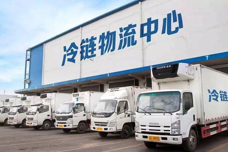 冷链中的资格认证和验证有什么区别？