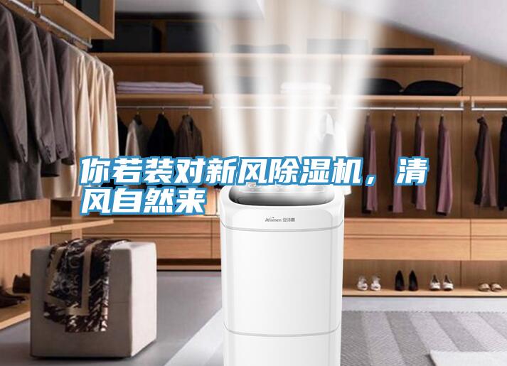 你若装对新风粉色应用黄色软件，清风自然来