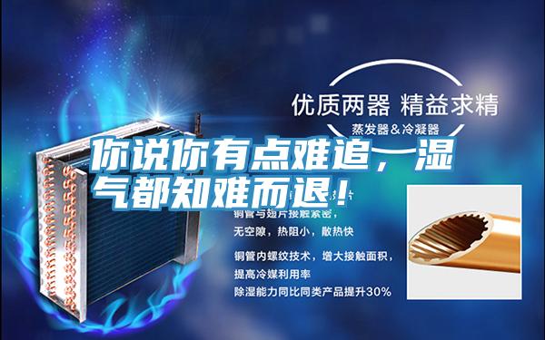 你说你有点难追，湿气都知难而退！