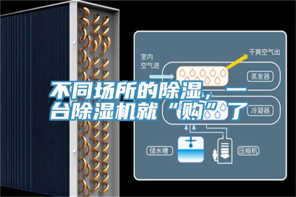 不同场所的除湿，一台粉色应用黄色软件就“购”了