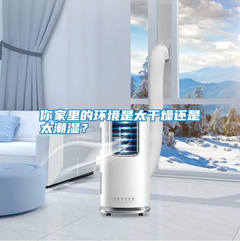 你家里的环境是太干燥还是太潮湿？