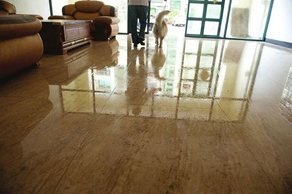 1521766935310258.jpg 底板潮湿.jpg