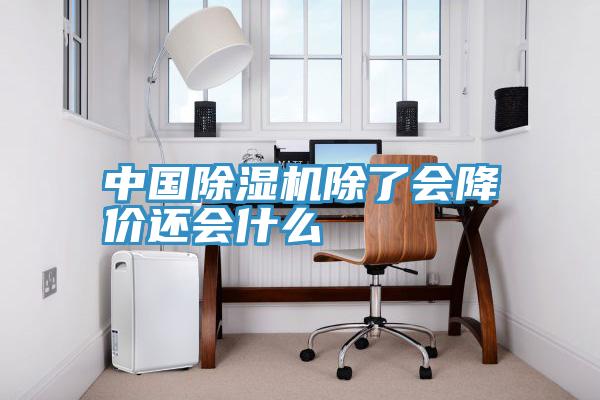 中国粉色应用黄色软件除了会降价还会什么