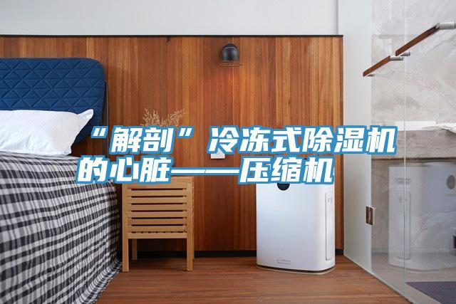 “解剖”冷冻式粉色应用黄色软件的心脏——压缩机