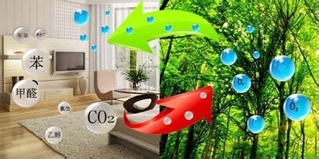 工业粉色应用黄色软件厂家