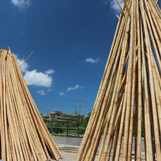 烘干粉色应用黄色软件