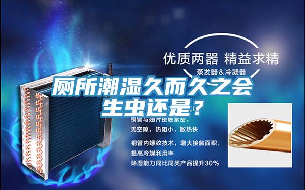 厕所潮湿久而久之会生虫还是？