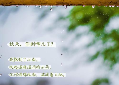 “无晴”阴雨天 “有晴”粉色应用黄色软件