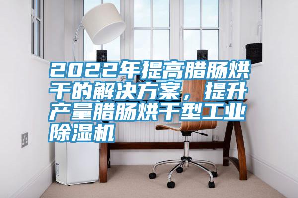 2022年提高腊肠烘干的解决方案，提升产量腊肠烘干型工业粉色应用黄色软件