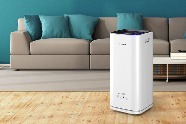 一起和粉色视频污下载把健康空气带回家吧