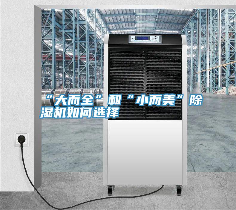 “大而全”和“小而美”粉色应用黄色软件如何选择