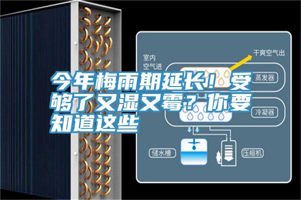 今年梅雨期延长！受够了又湿又霉？你要知道这些