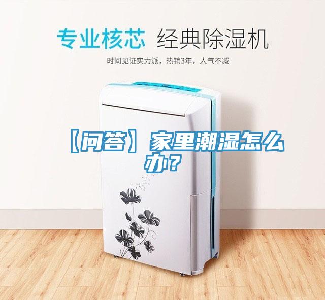 【问答】家里潮湿怎么办？