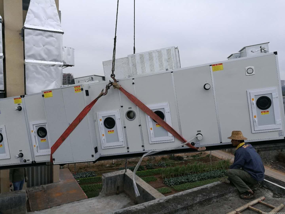 转轮粉色应用黄色软件安装