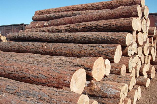 木材干燥为什么要用工业粉色应用黄色软件