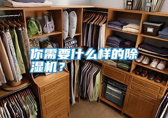 你需要什么样的粉色应用黄色软件？