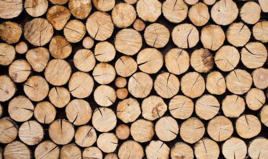 木材烘干粉色应用黄色软件哪个牌子好，怎么选择