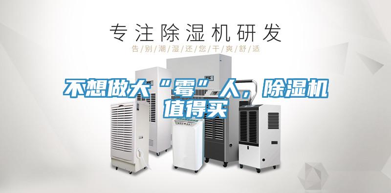 不想做大“霉”人，粉色应用黄色软件值得买