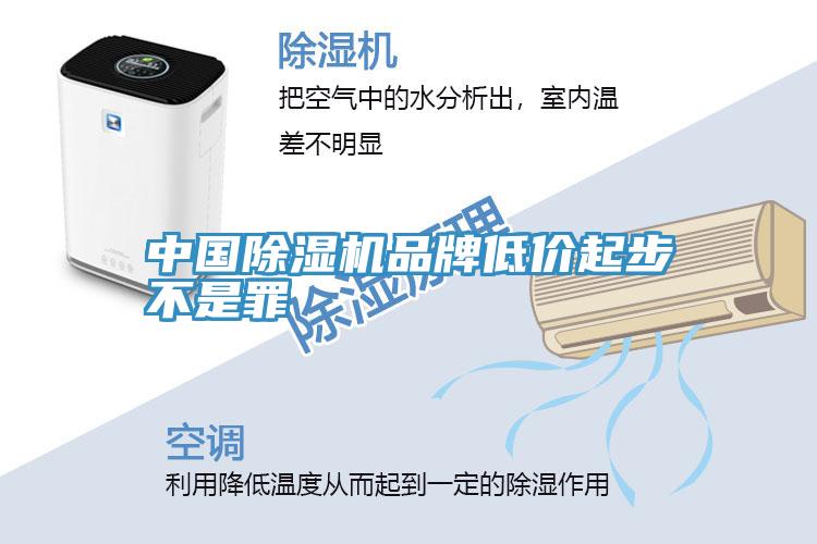 中国粉色应用黄色软件品牌低价起步不是罪