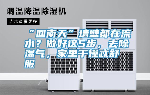 “回南天”墙壁都在流水？做好这5步，去除湿气，家里干燥忒舒服