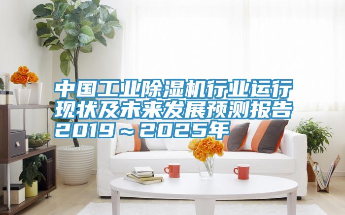 中国工业粉色应用黄色软件行业运行现状及未来发展预测报告2019～2025年