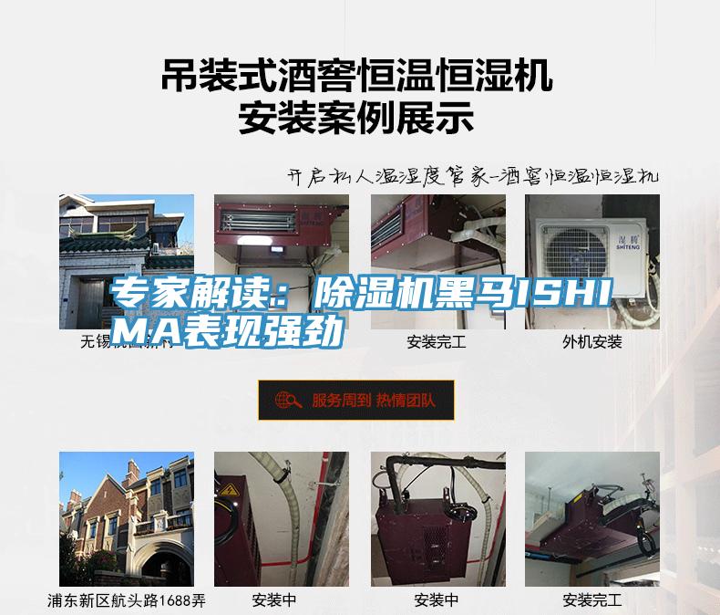 专家解读：粉色应用黄色软件黑马ISHIMA表现强劲