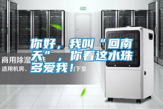 你好，我叫“回南天”，你看这水珠多爱我！