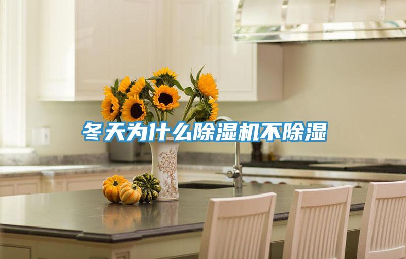 冬天为什么粉色应用黄色软件不除湿