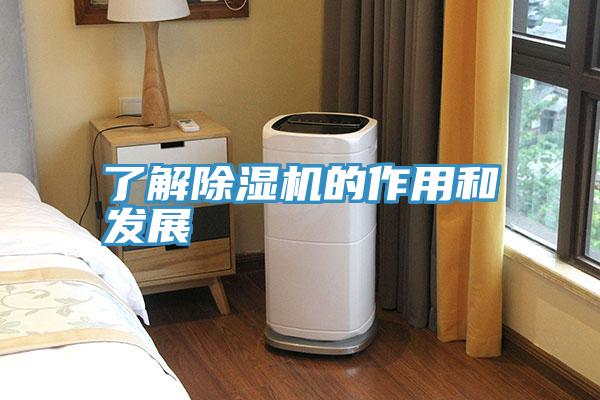 了解粉色应用黄色软件的作用和发展