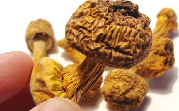 巴西菇、姬松茸烘干机-怎样烘干色泽好且菇体褶片完整？