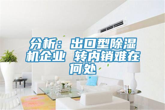 分析：出口型粉色应用黄色软件企业 转内销难在何处