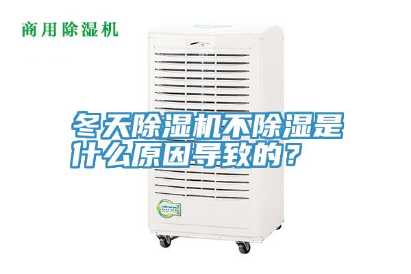 冬天粉色应用黄色软件不除湿是什么原因导致的？