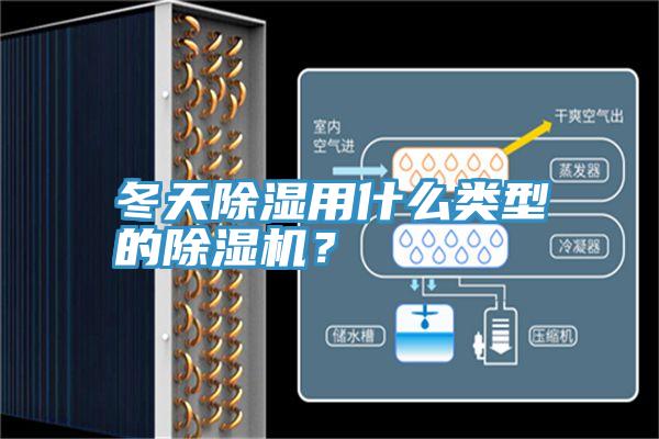 冬天除湿用什么类型的粉色应用黄色软件？