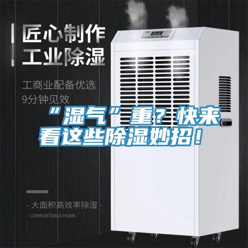 “湿气”重？快来看这些除湿妙招！