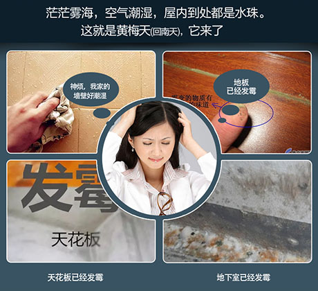 家庭别墅的地下室、卫生间、储物室等该如何除湿？