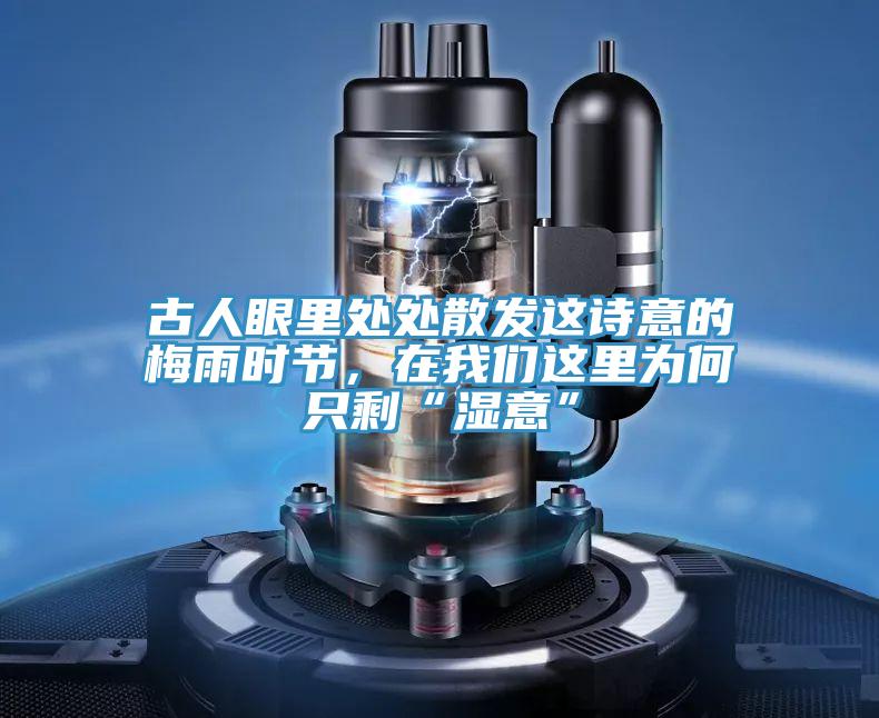 古人眼里处处散发这诗意的梅雨时节，在粉色视频污下载这里为何只剩“湿意”