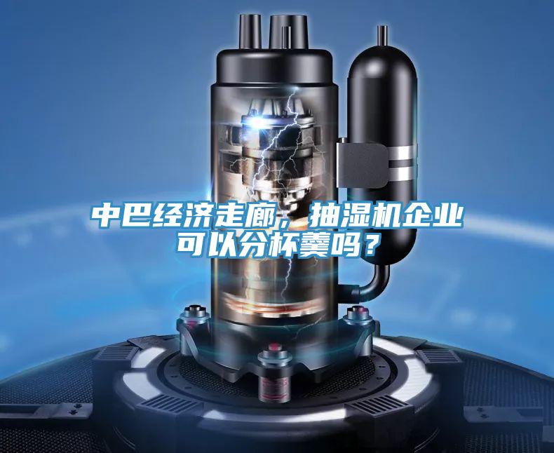 中巴经济走廊，抽湿机企业可以分杯羹吗？