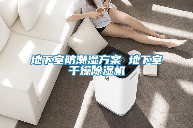 地下室防潮湿方案 地下室干燥粉色应用黄色软件