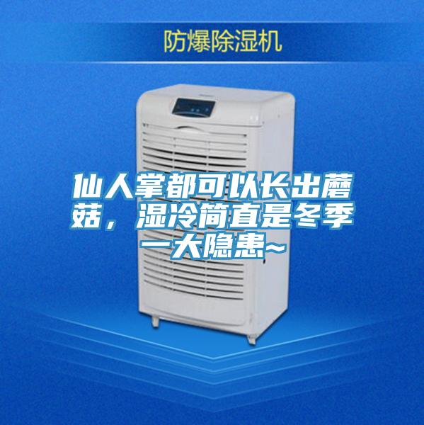 仙人掌都可以长出蘑菇，湿冷简直是冬季一大隐患~