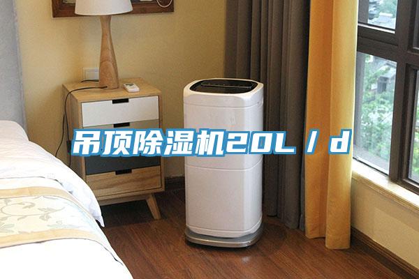 吊顶粉色应用黄色软件20L／d