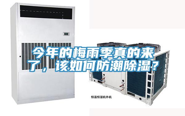 今年的梅雨季真的来了，该如何防潮除湿？