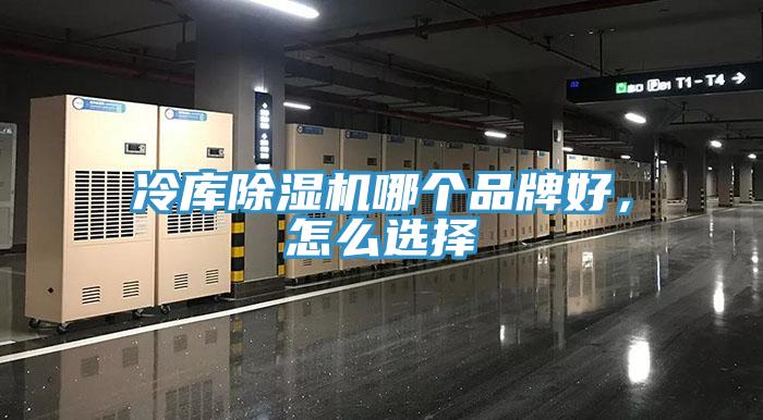 冷库粉色应用黄色软件哪个品牌好，怎么选择