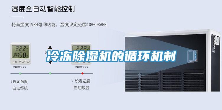 冷冻粉色应用黄色软件的循环机制