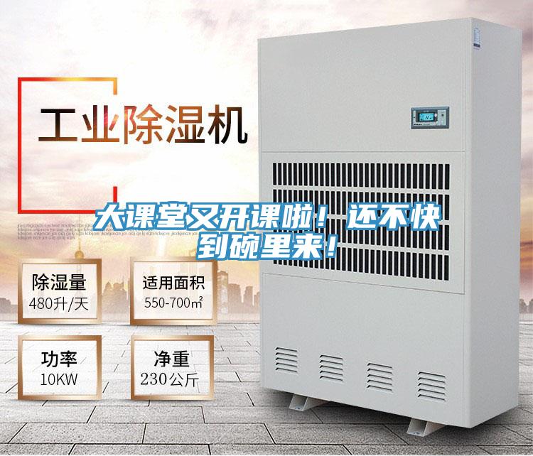 大课堂又开课啦！还不快到碗里来！