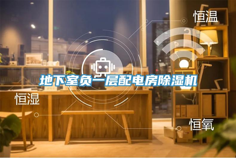 地下室负一层配电房粉色应用黄色软件