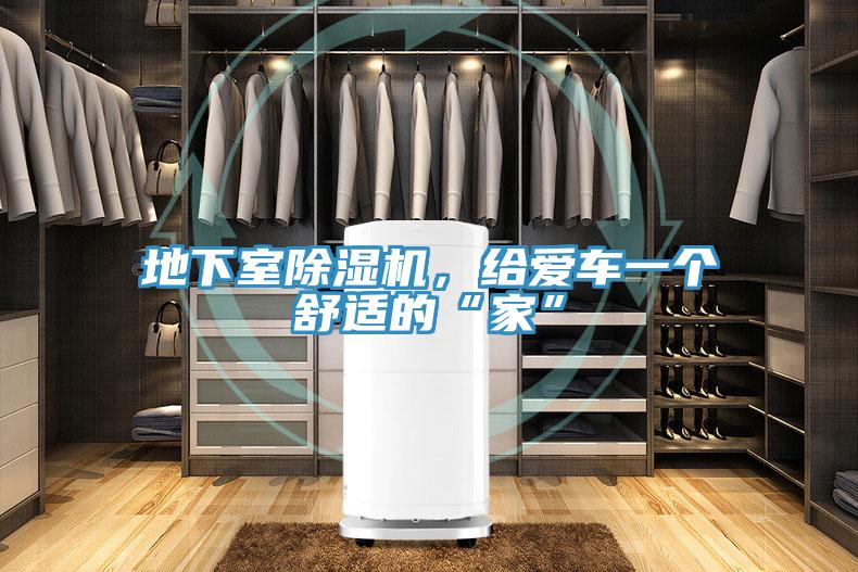 地下室粉色应用黄色软件，给爱车一个舒适的“家”