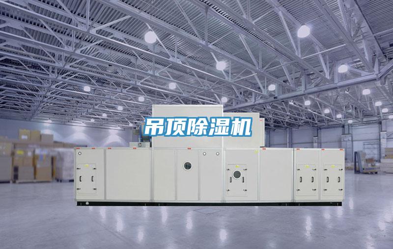 吊顶粉色应用黄色软件