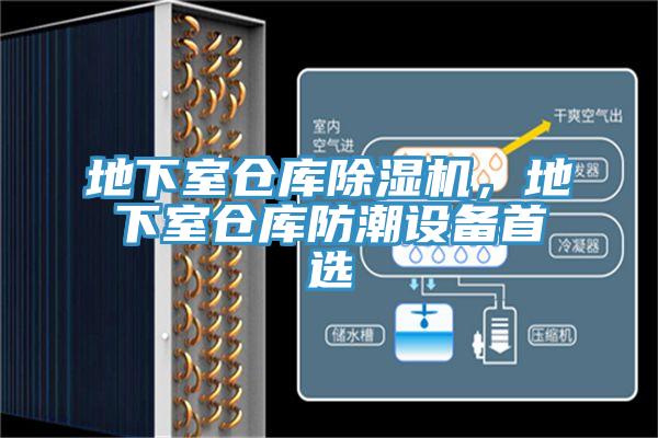 地下室仓库粉色应用黄色软件，地下室仓库防潮设备首选