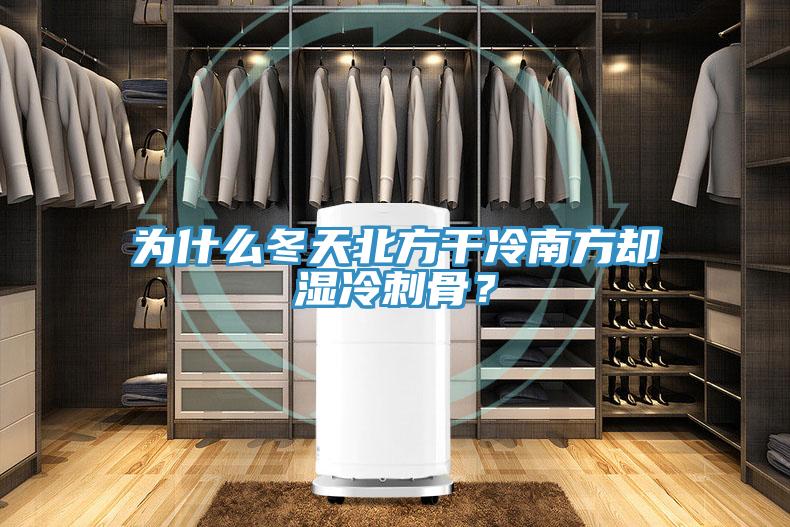 为什么冬天北方干冷南方却湿冷刺骨？