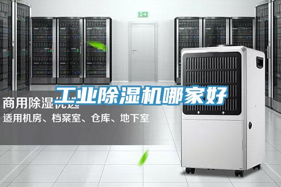 工业粉色应用黄色软件哪家好